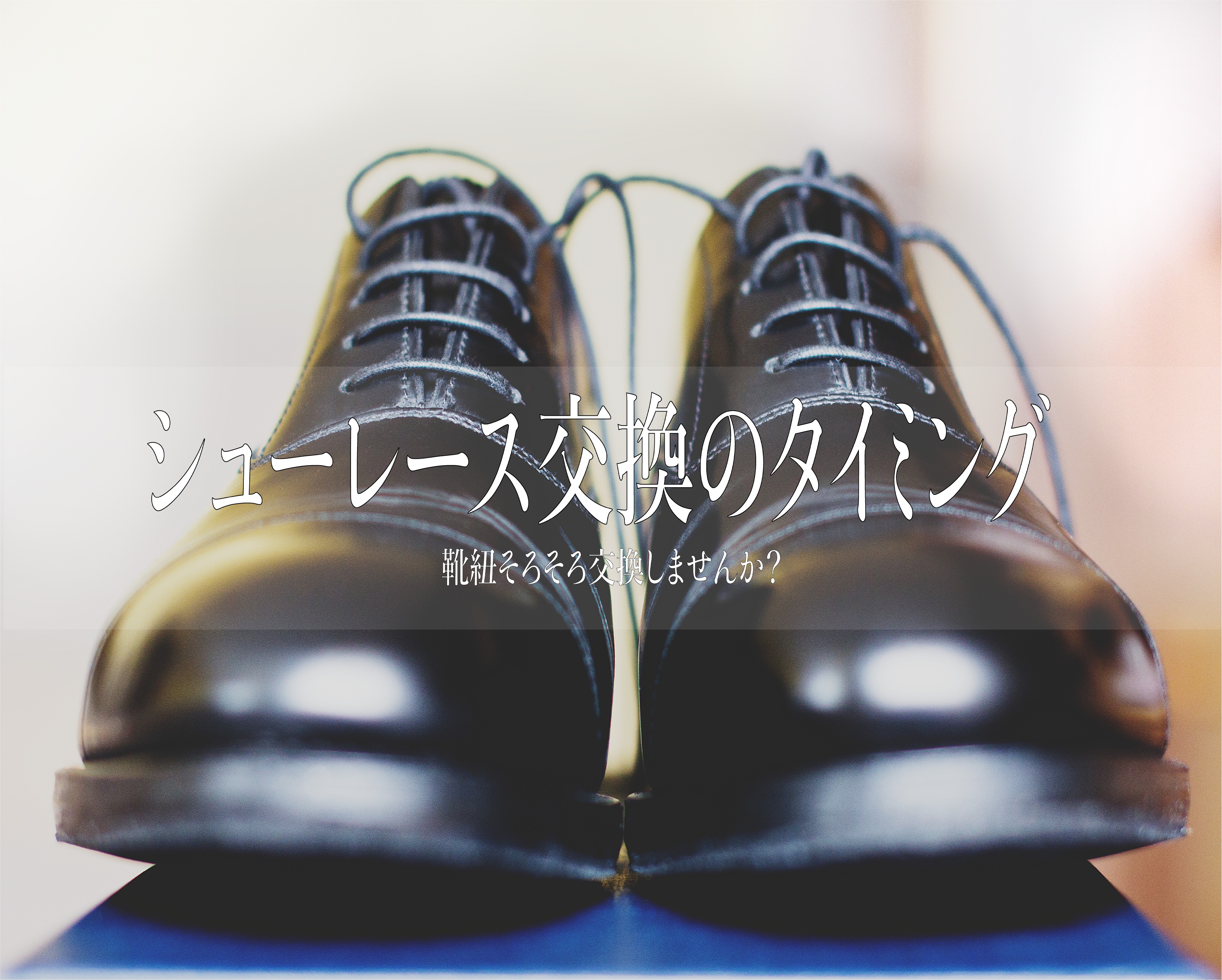 シューレース交換のタイミング 靴紐は革靴の印象に影響 人生賭けて やってます