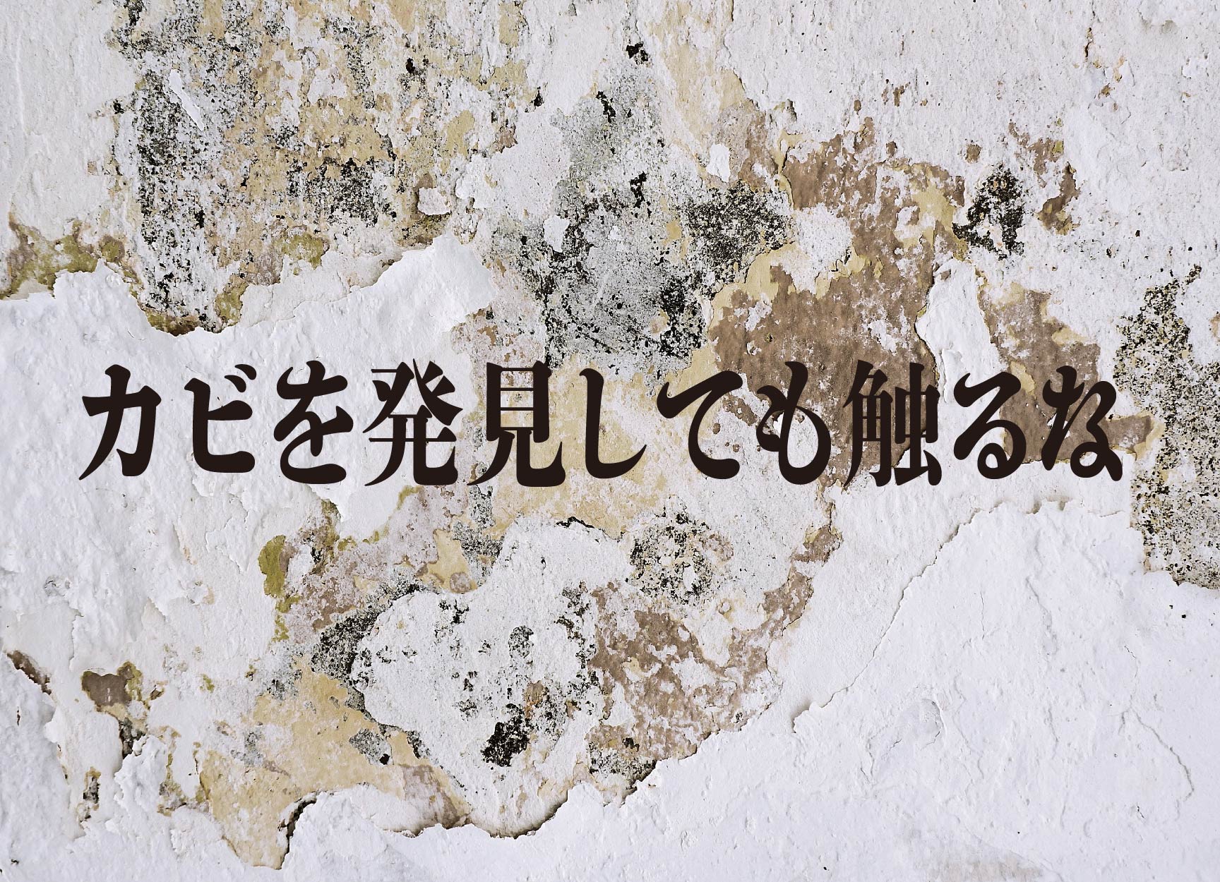 【カビ】革靴に発生しても直ぐに触らない!カビ発生条件とケアと対策